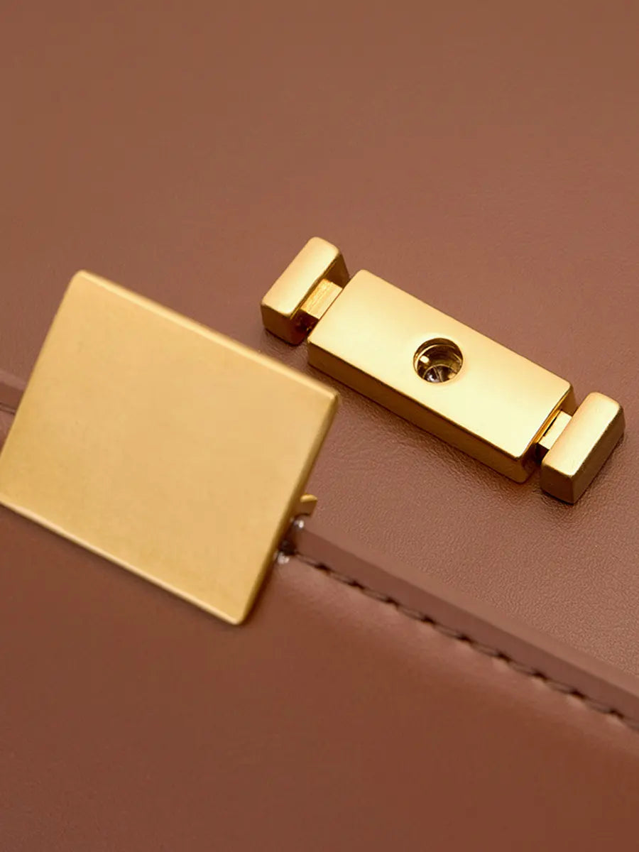 Close-up of a gold latch on a brown leather surface